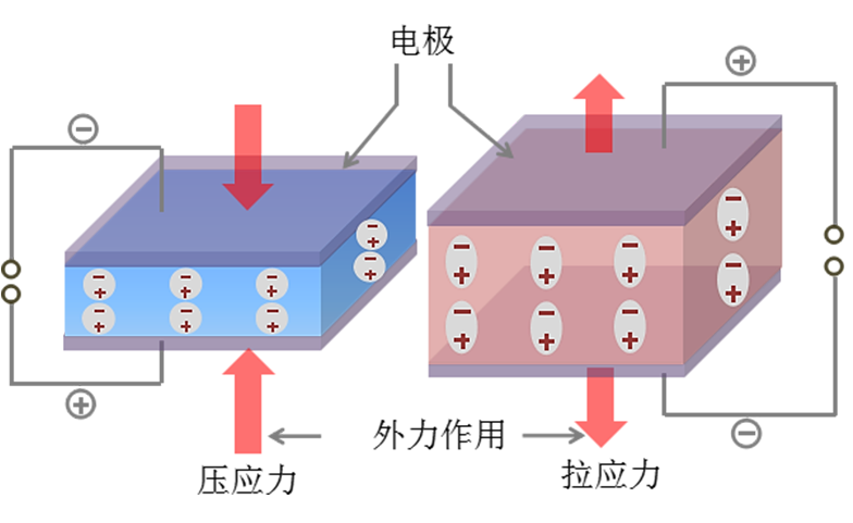 压电效应示意图
